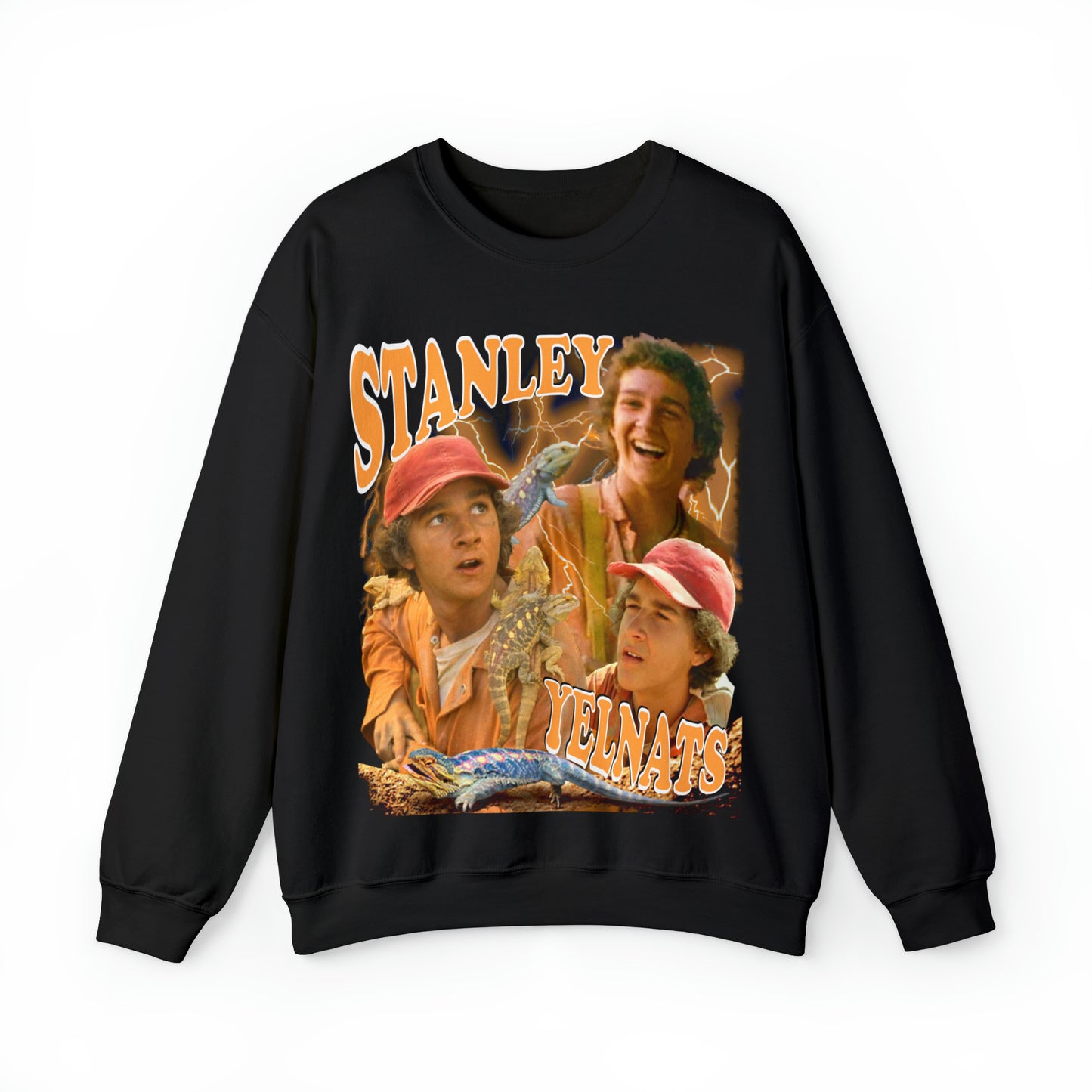 STANLEY YELNATS (HOLES)