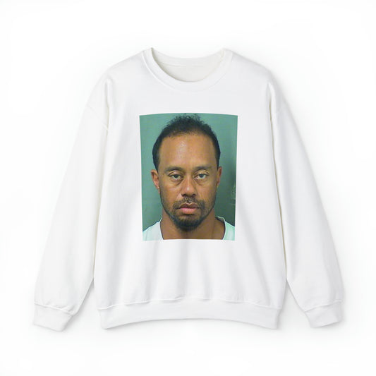 TIGER WOODS MUGSHOT