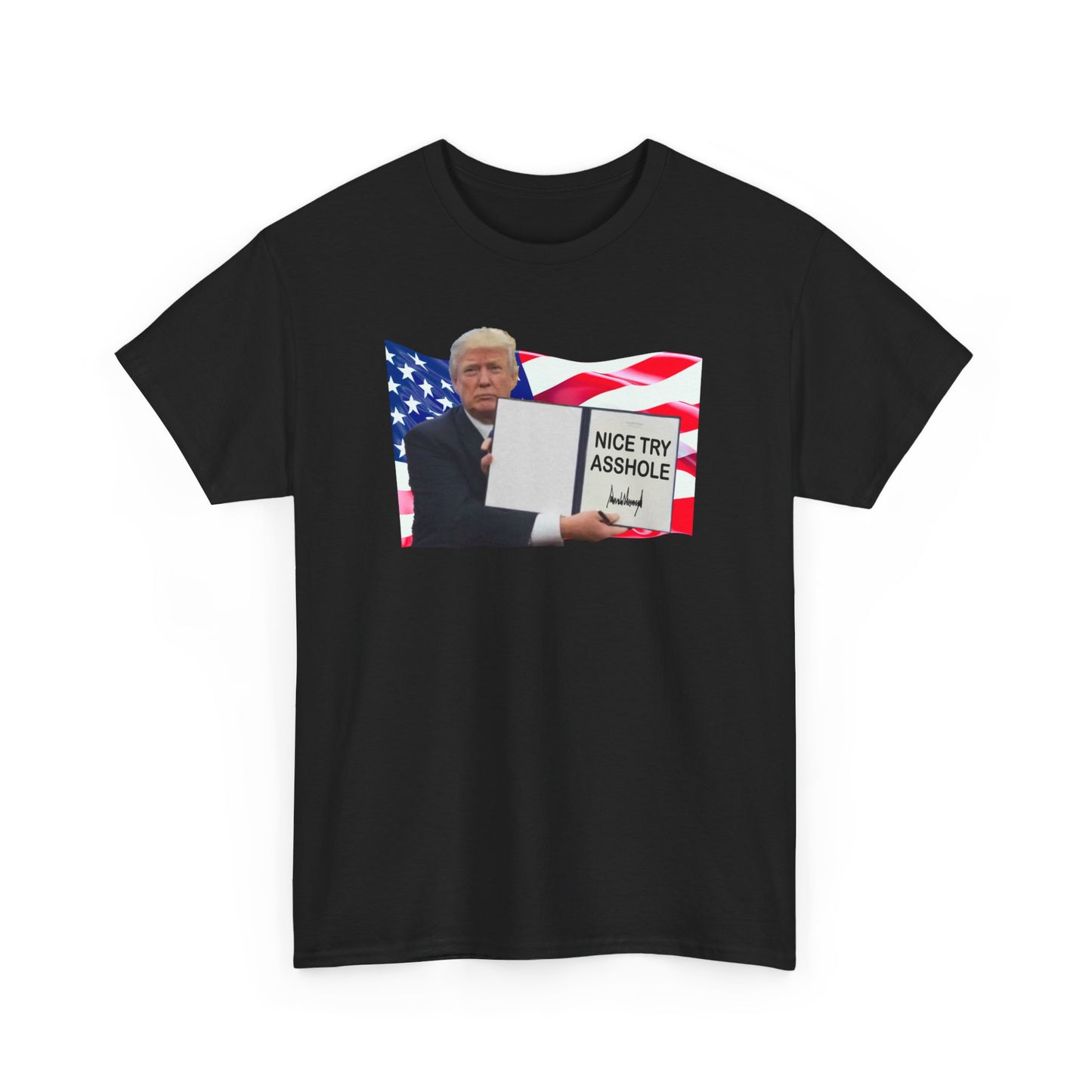 Nice Try Donald Trump